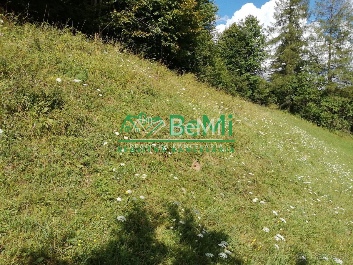 Predaj: Pozemok 784m2, Terchová (032-14-MACHa) - 2