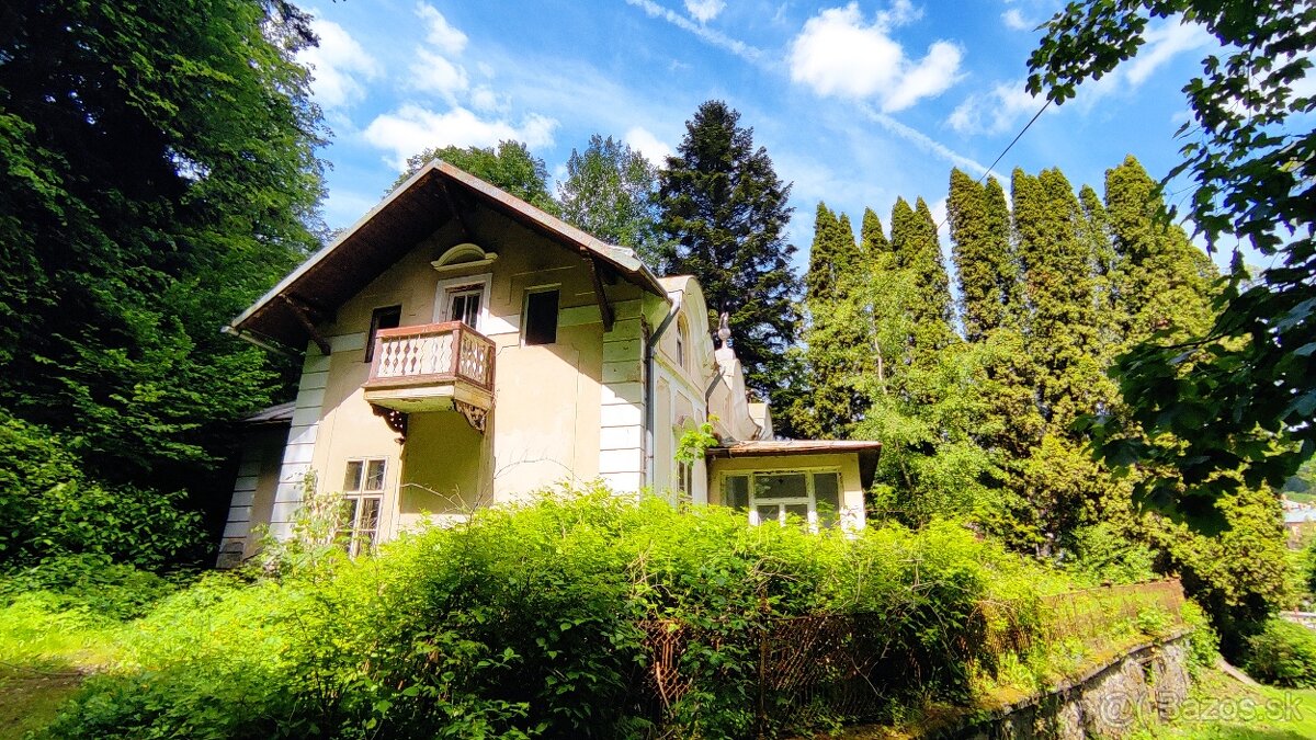 Penzión alebo rodinný dom - Bardejovské kúpele - 2