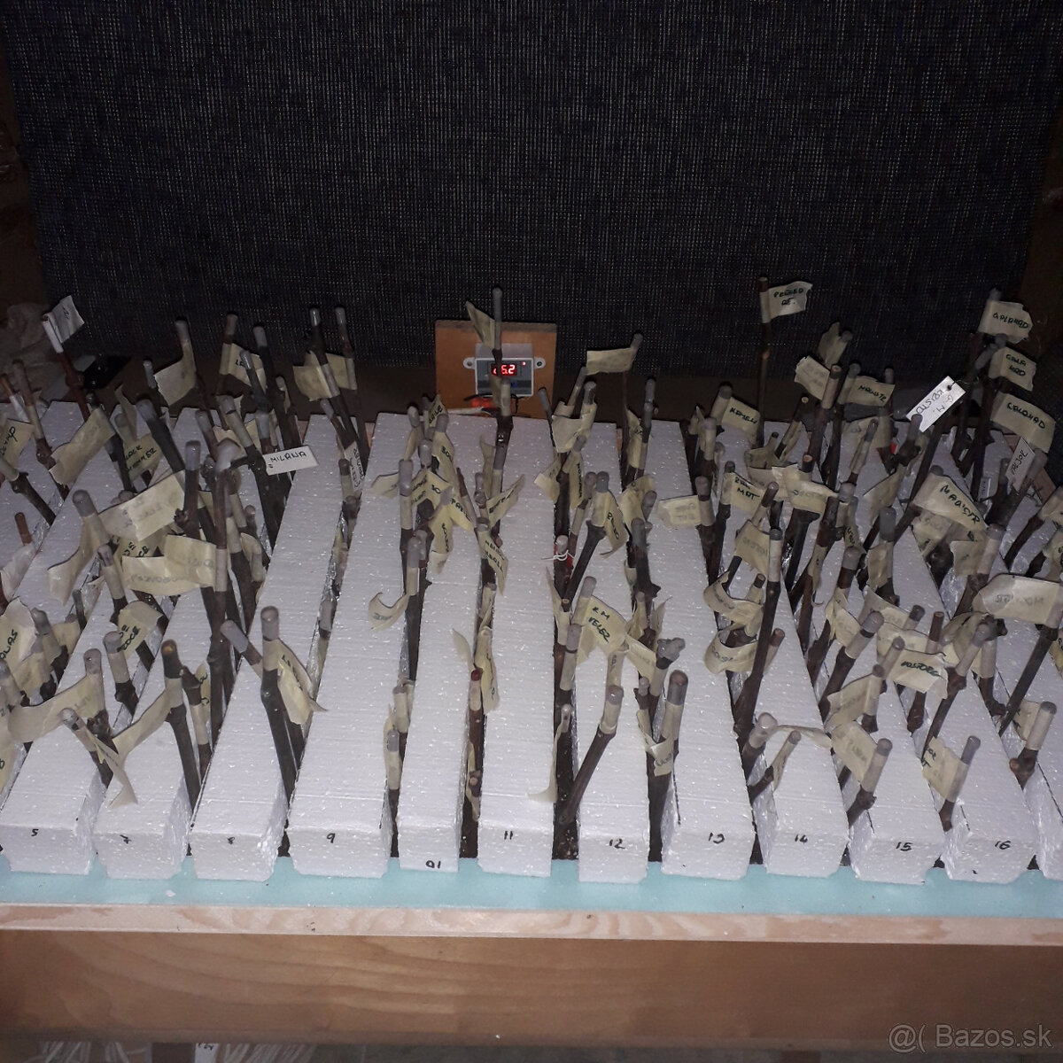 Zakoreňovaci box - 2