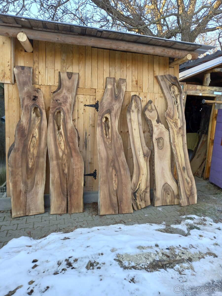 Predam orechove a dubove rezivo - 2