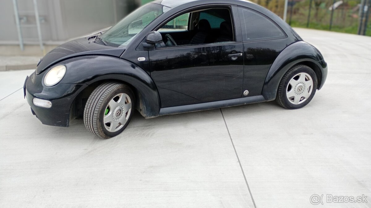 Beetle - 2