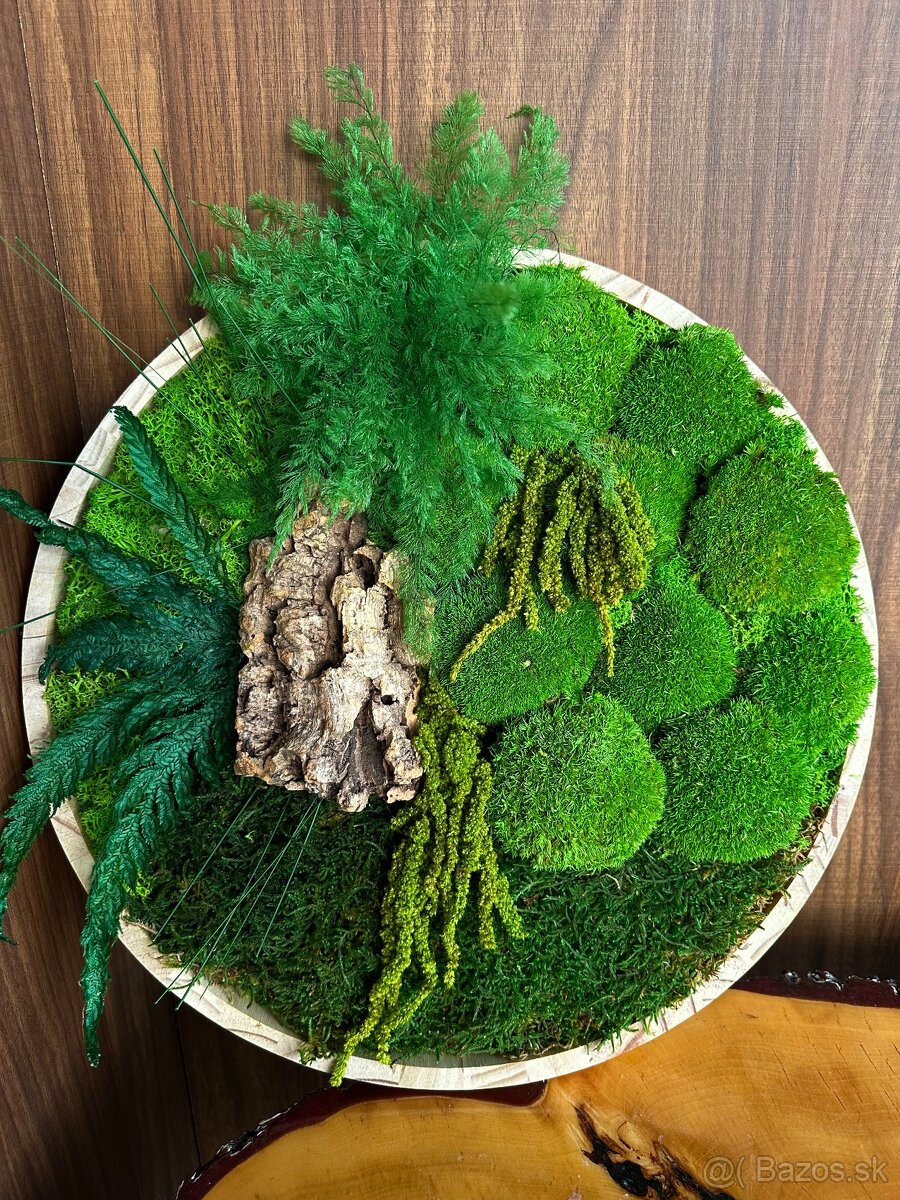 Predám nový machový obraz vhodný ako aj darček - 2