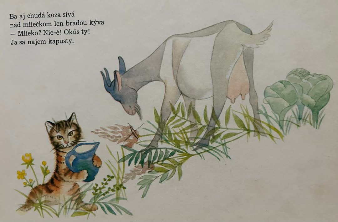 ZBIERKA STARÝCH LEPORIEL - 2