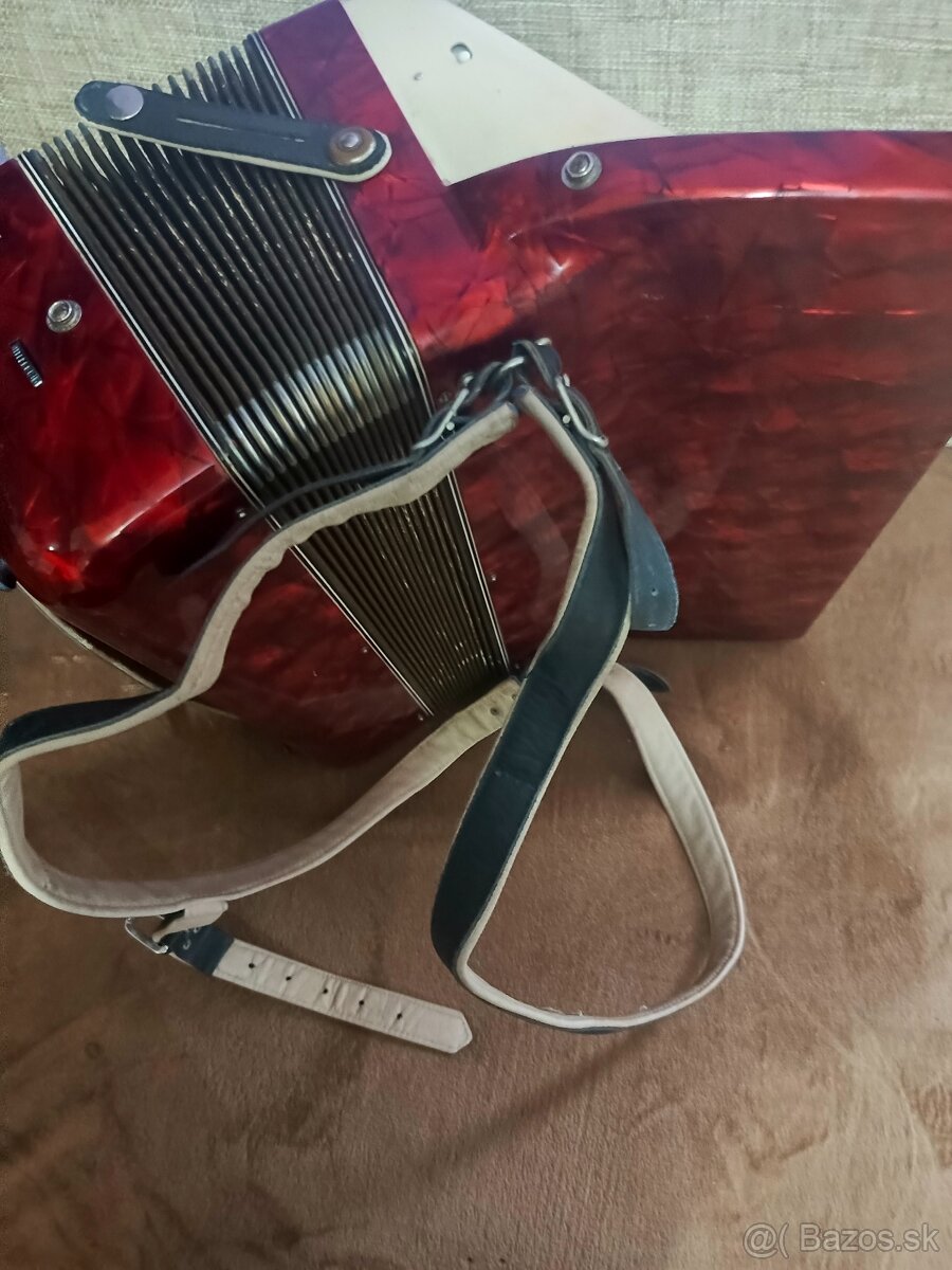 Delicia melódia V3 80 basov - 2