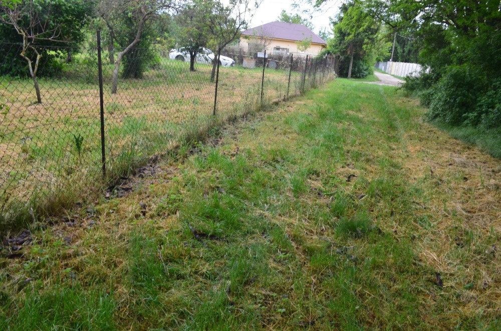 Predám RD u Nitry - 2