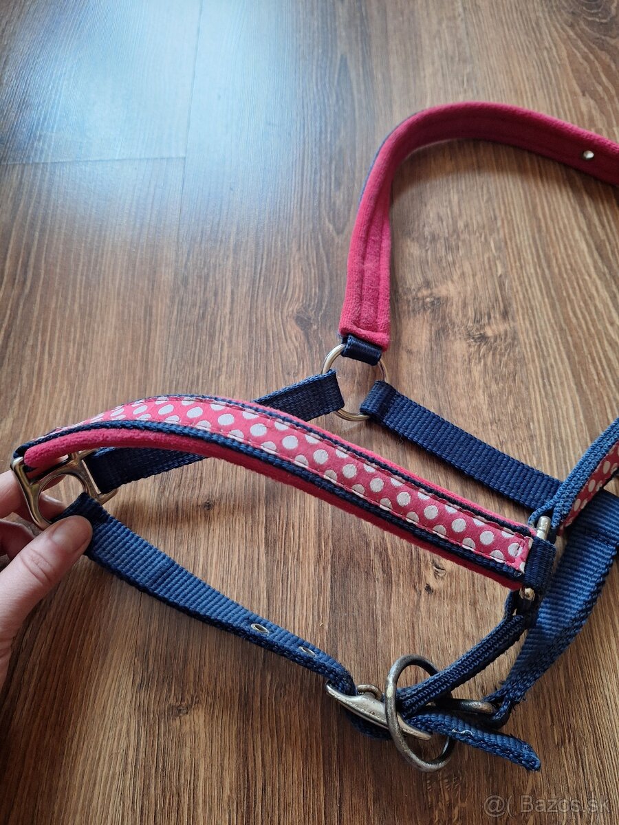 Ohlávka shetty, shetland - 2