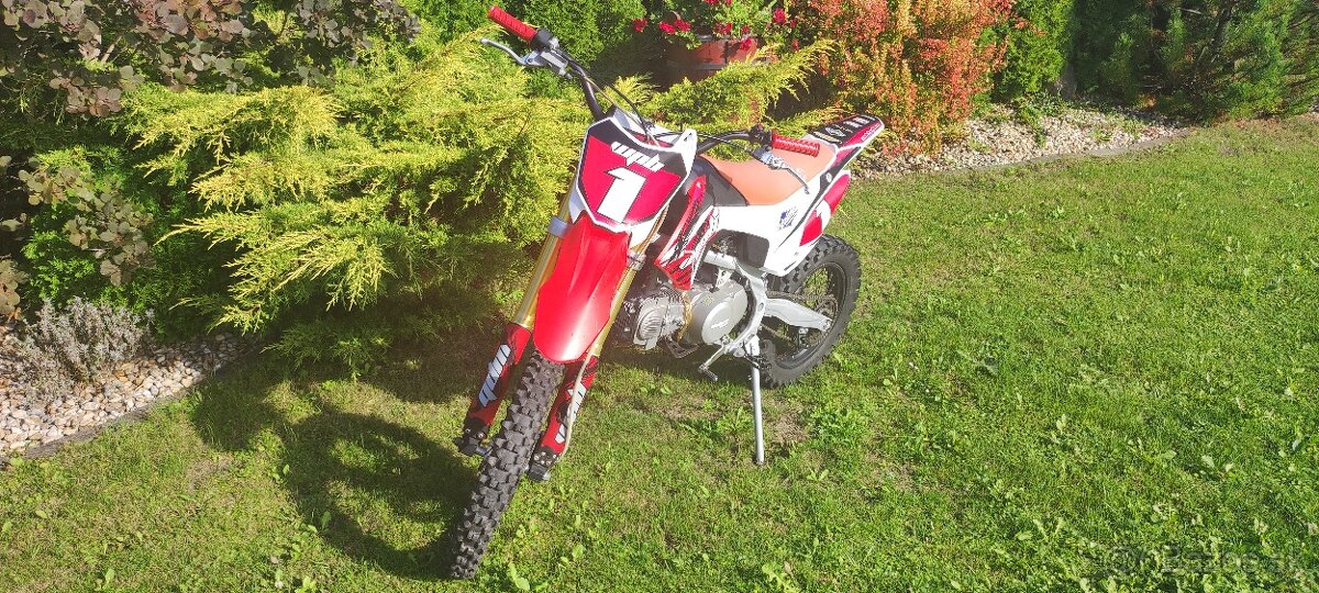 Pitbike WPB Race 140 - 2