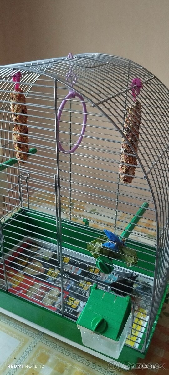 Klietka pre vtáčiky s vtáčikom - 2