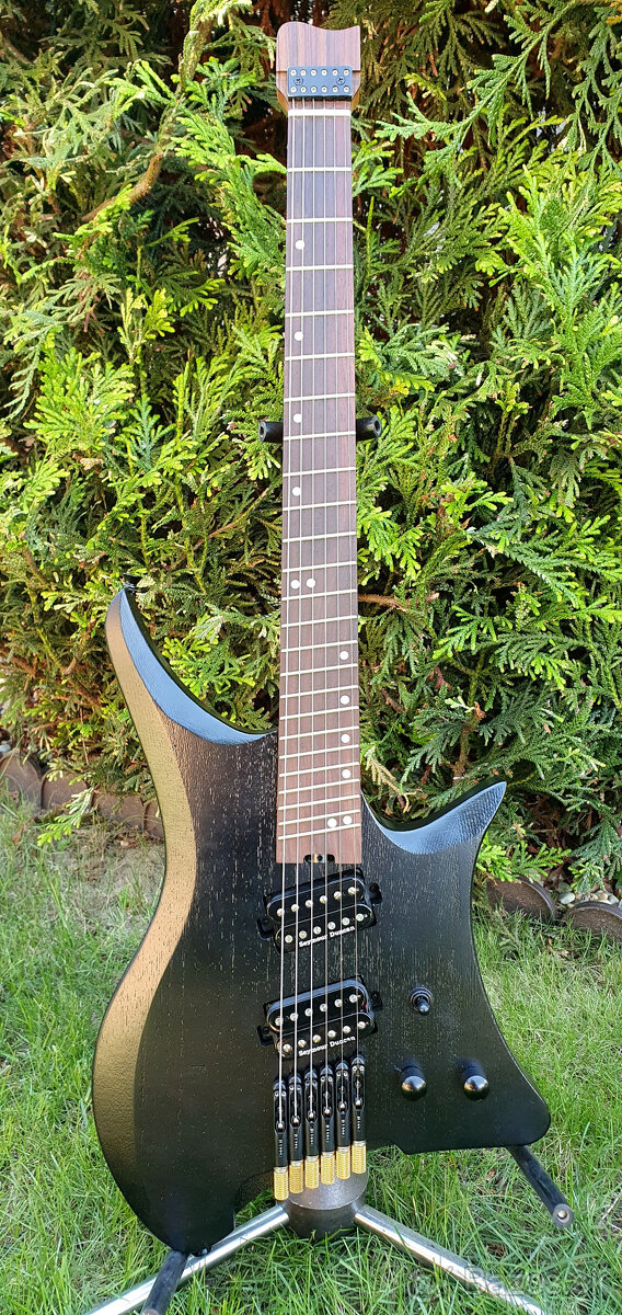 Multiscale headless gitara - 2