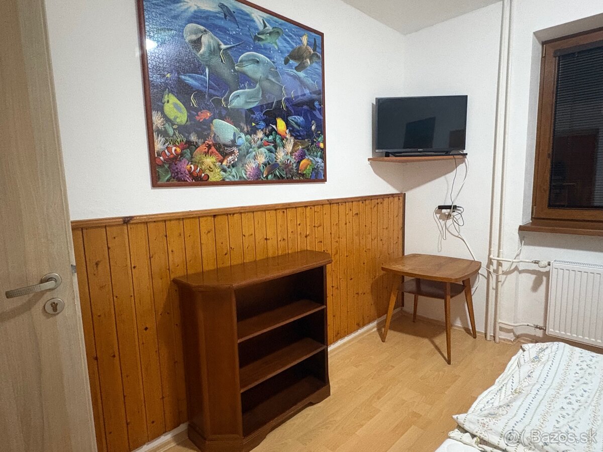 Dám do nájmu izbu v RD - 2