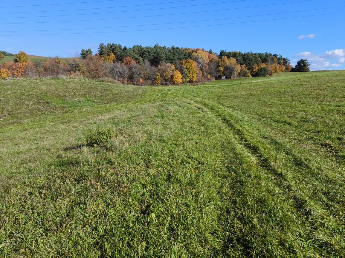 Pozemok - RD / ranč / iné využitie Dolná Mičiná - 2