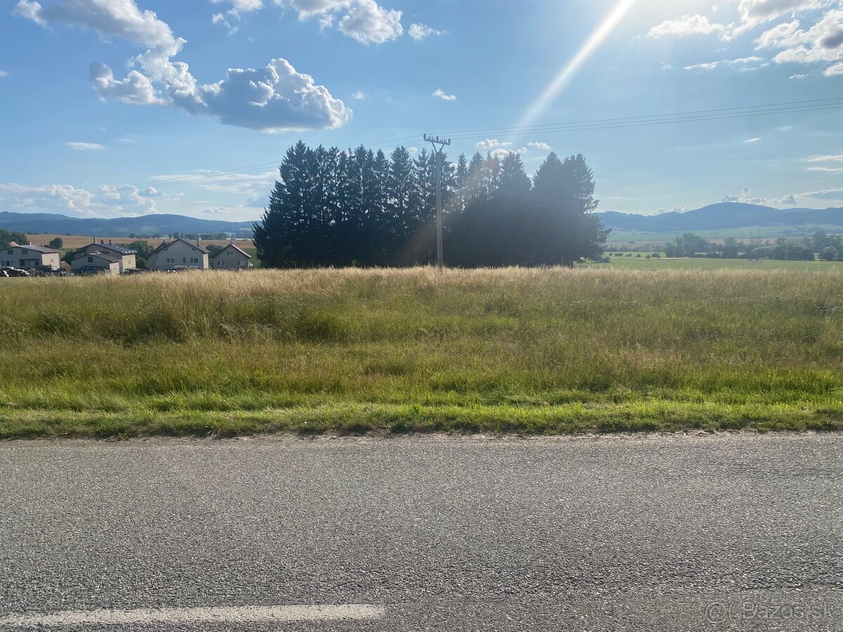 Pozemok Veľký Čepčín 6503m2 - 2