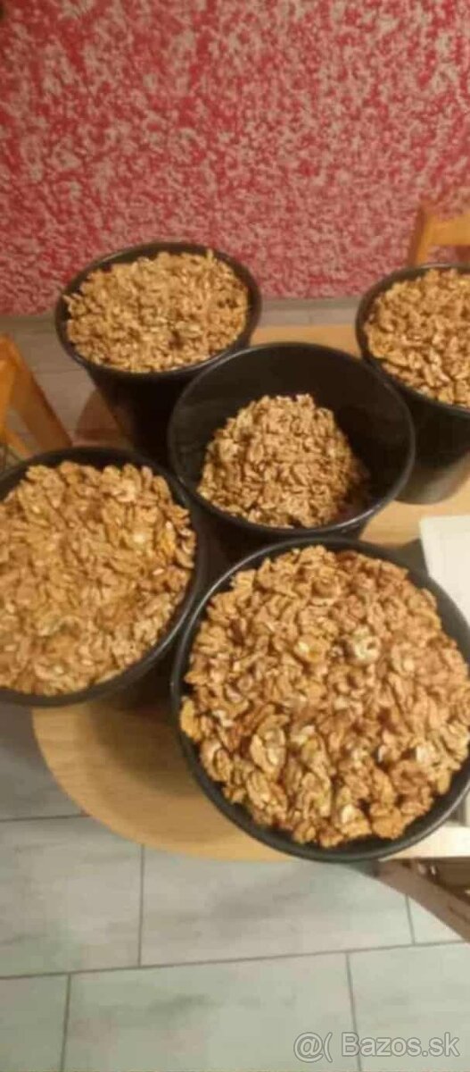 Predám vlašské orechy - 2