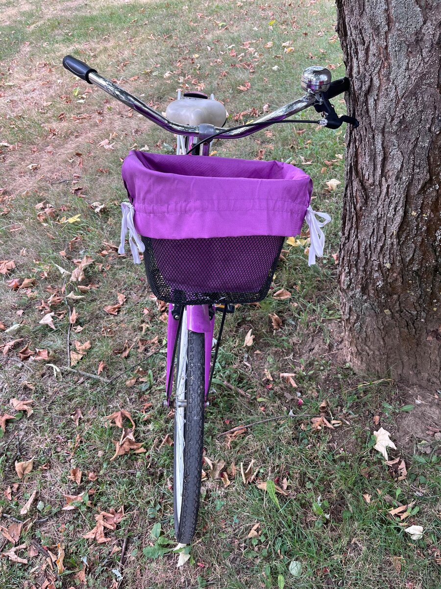 Mestsky bicykel-pre zenu/dievca - 2