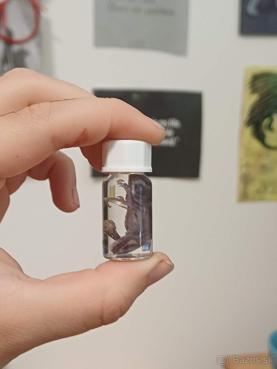 Wet speciment - 2