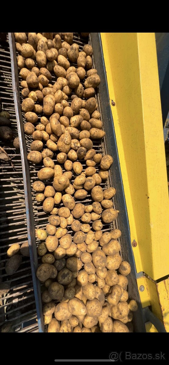Predám zemiaky soraya - 2