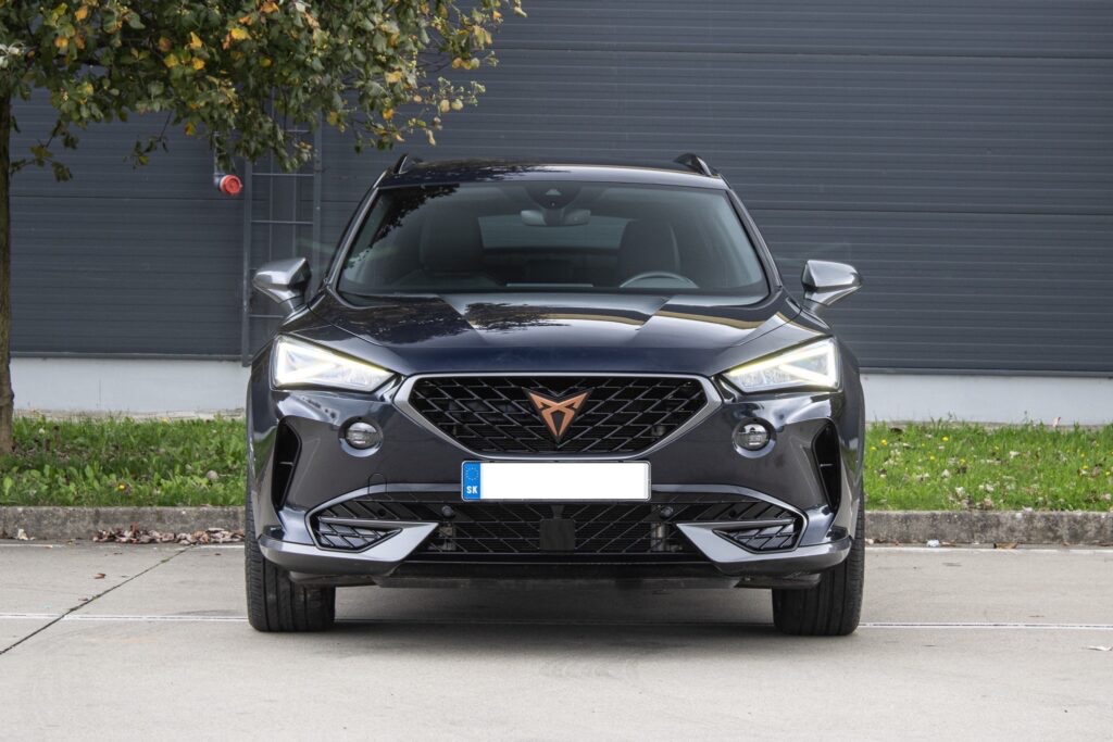 Cupra Formentor 2.0 TDI 4Drive DSG - 2