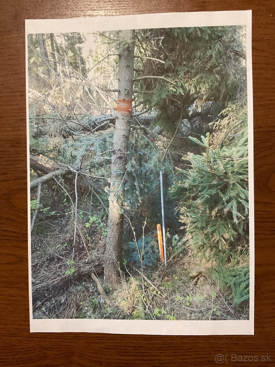 Poľnohospodár a lesné pozemky - 2