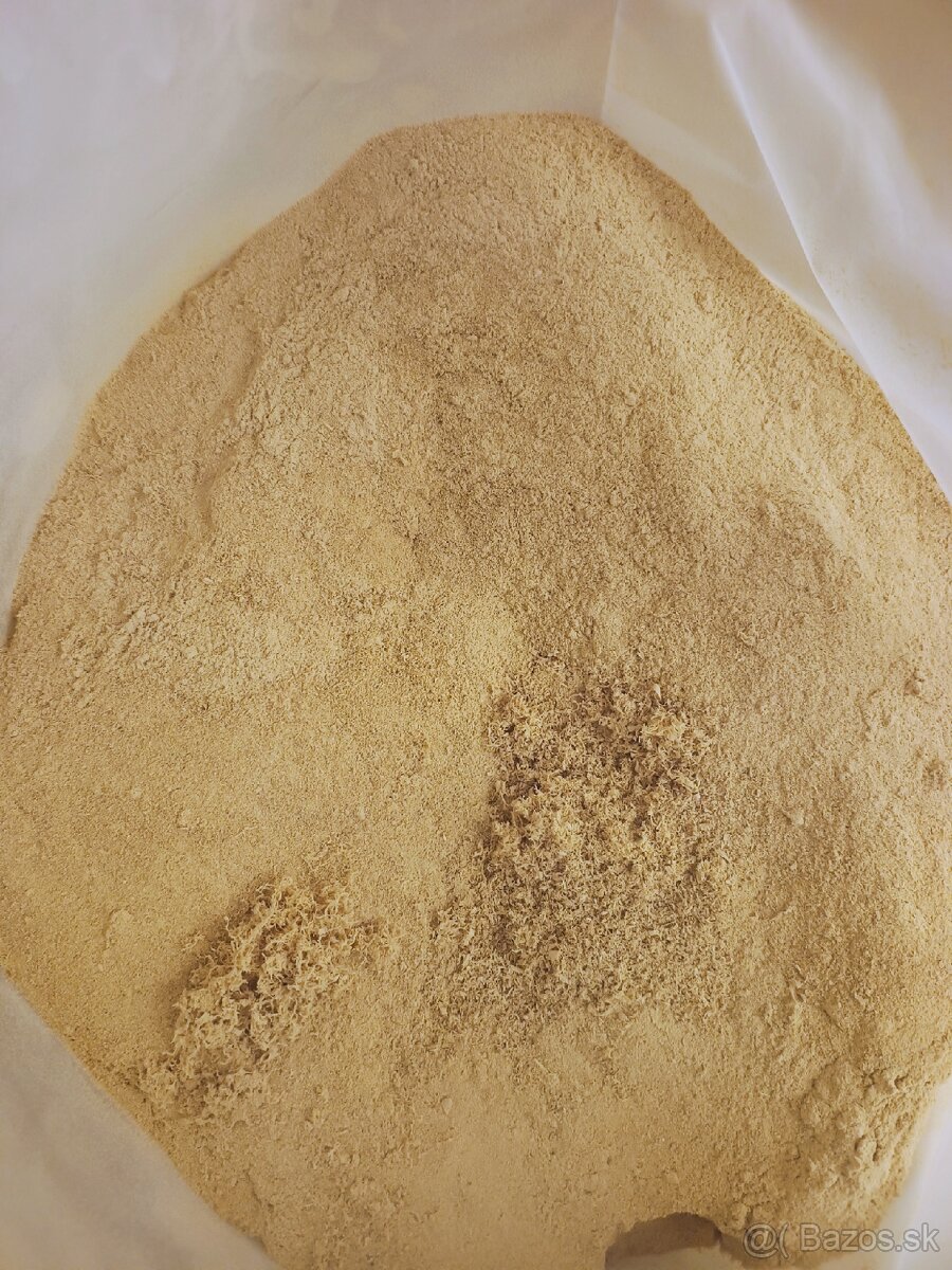 predam bukove piliny - 2