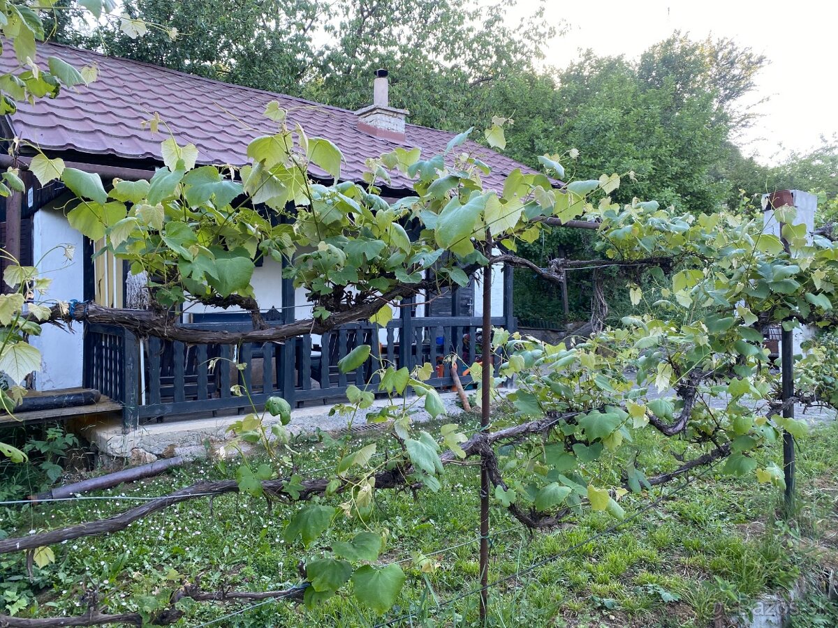 Záhrada s murovanou chatou - 2