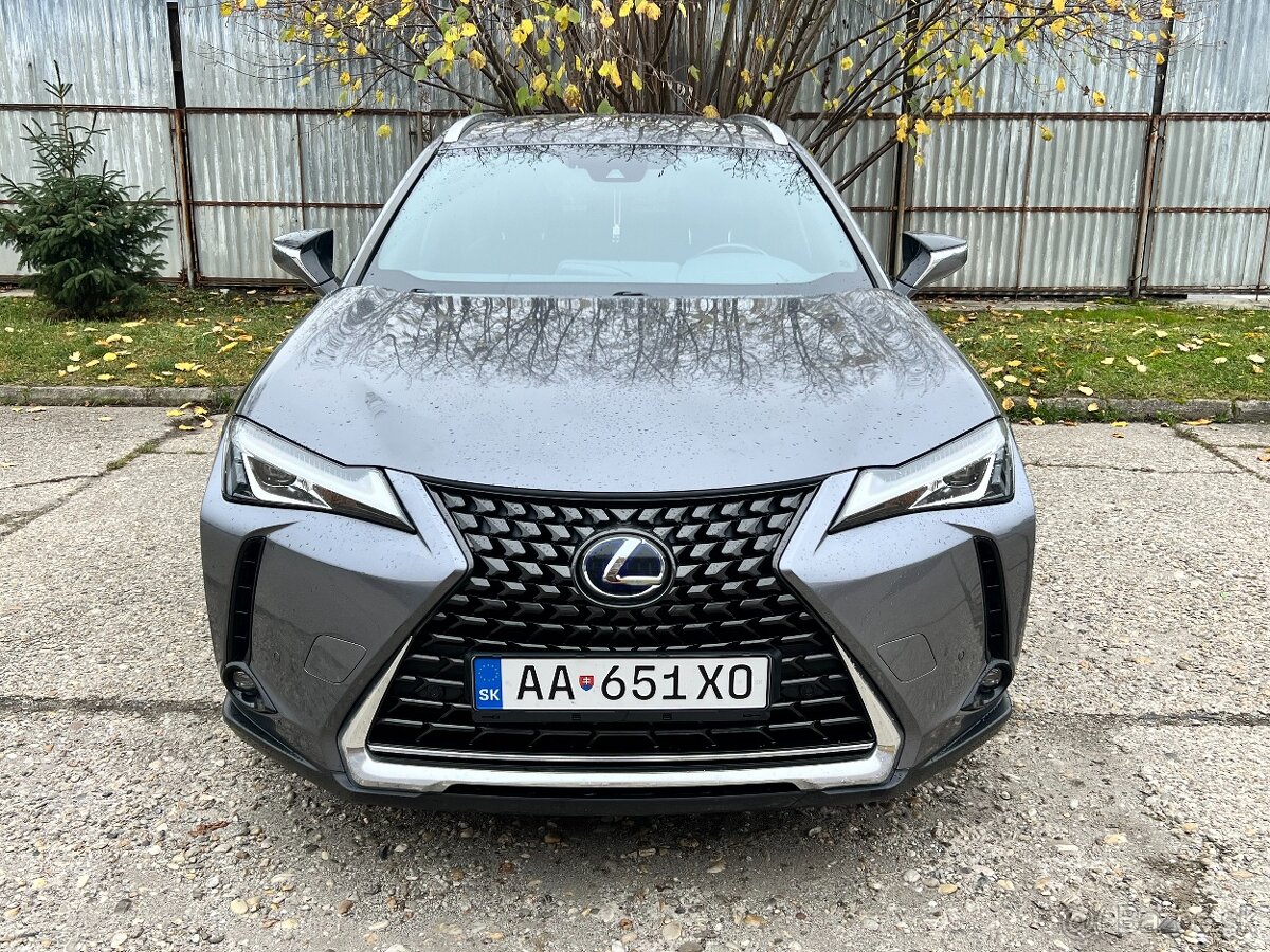Lexus UX 250h - 2