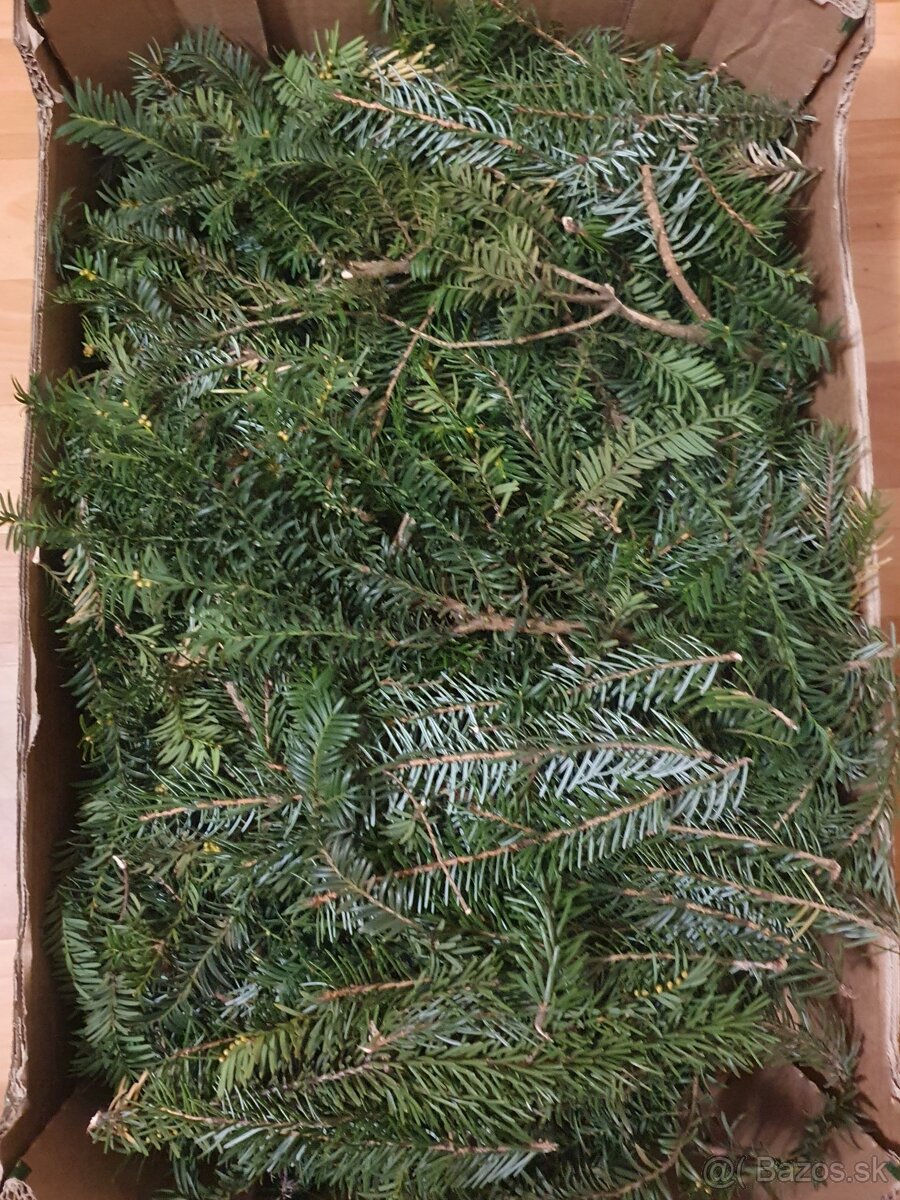 Vetvicky a sisky na adventne vence / dekoracie - 2