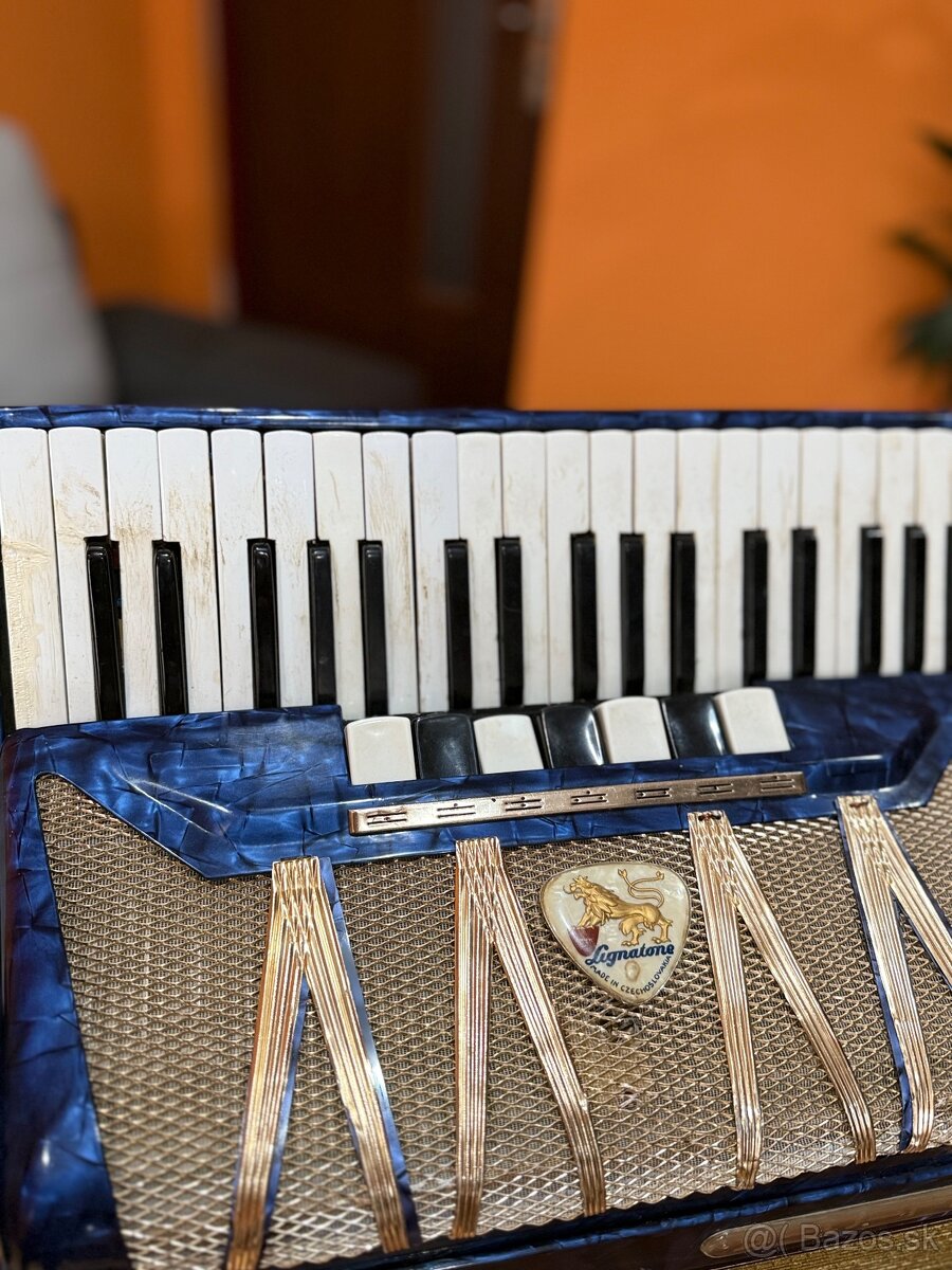 Akordeón Delicia Melodia VIII - 2