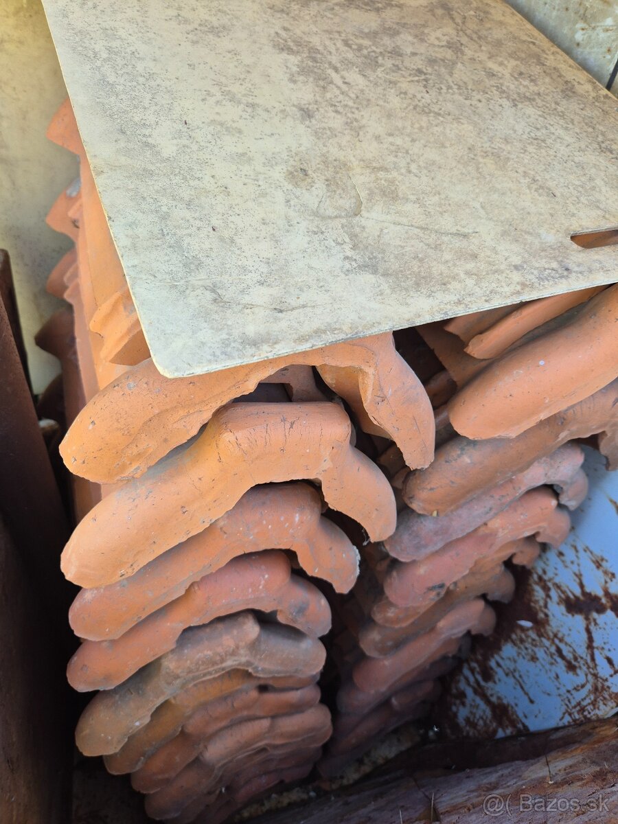 Predam korytka hrebenace - 2