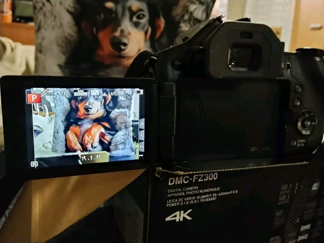 Lumix FZ300 - 2