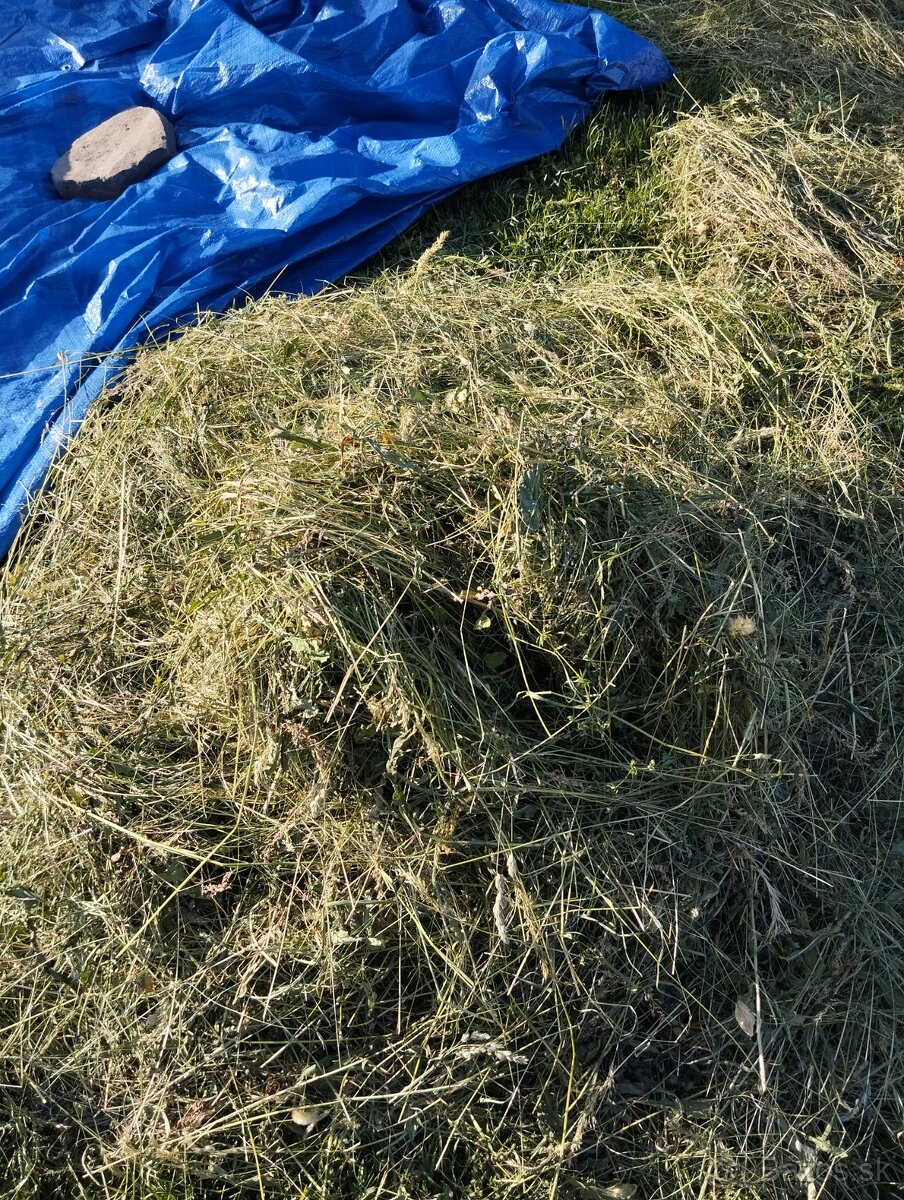 Čerstvé seno - 2
