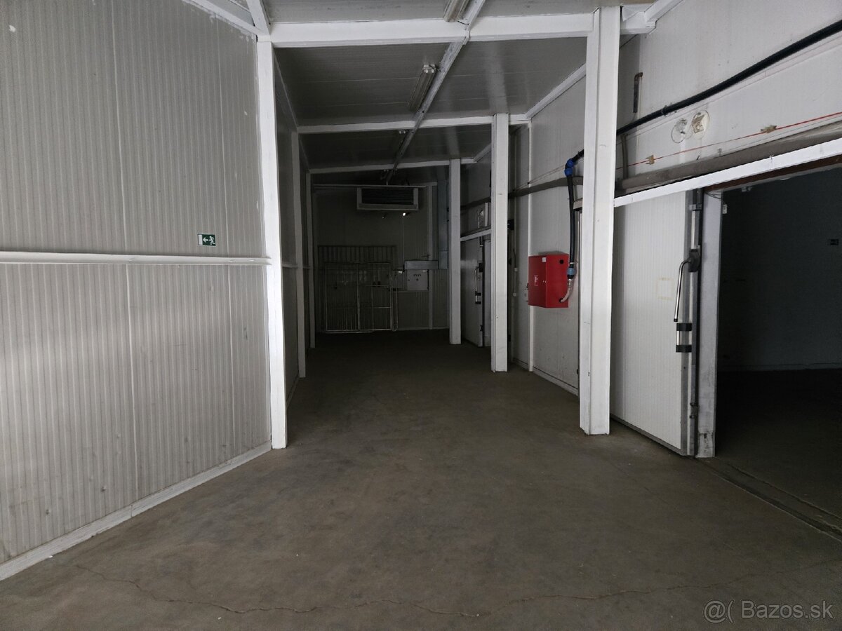 Hala na predaj (Holic) - 2