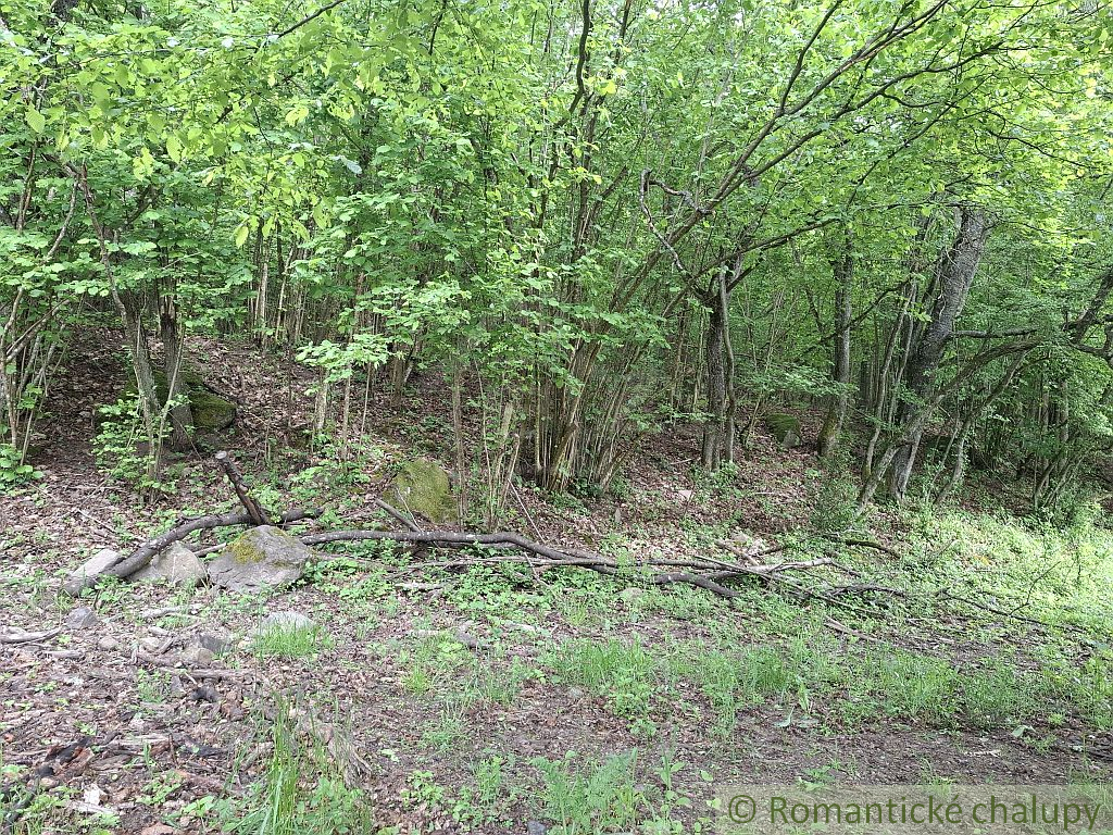 Rozsiahle lesné pozemky v Podpoľaní - 2