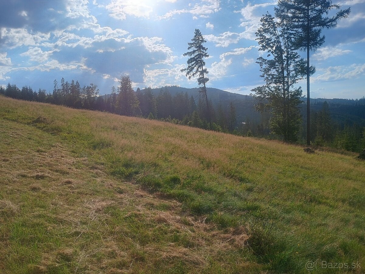 Zľava: Predáme pozemok pre chaty vo Zwardoni (PL) - 2
