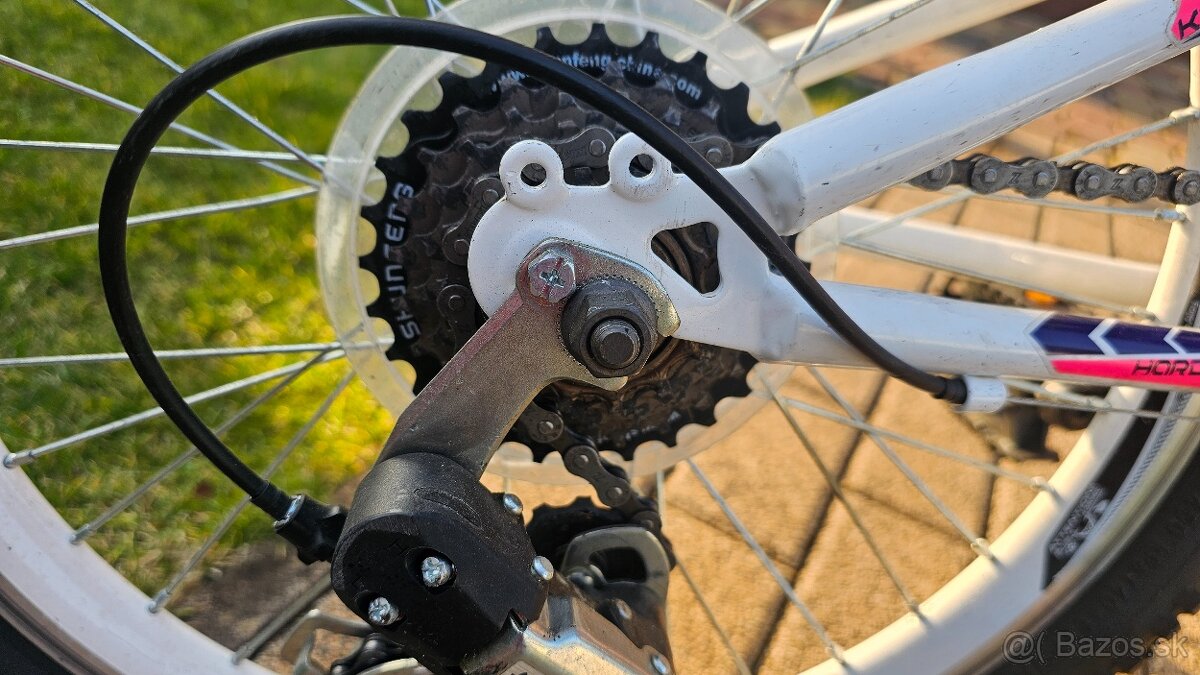 BICYKEL DIEVCENSKY - 2