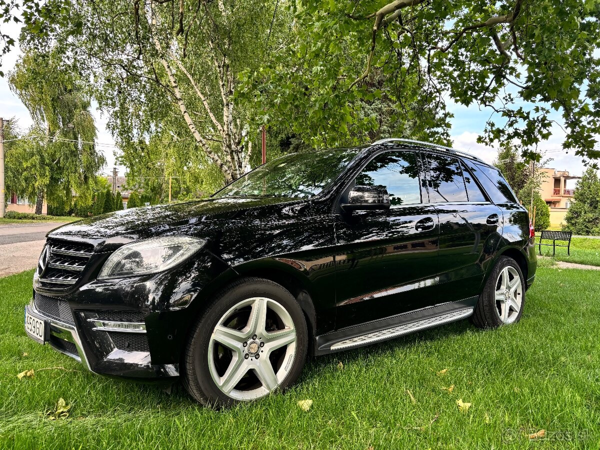 Mercedes ML W166 350 CDI Bluetec - 2