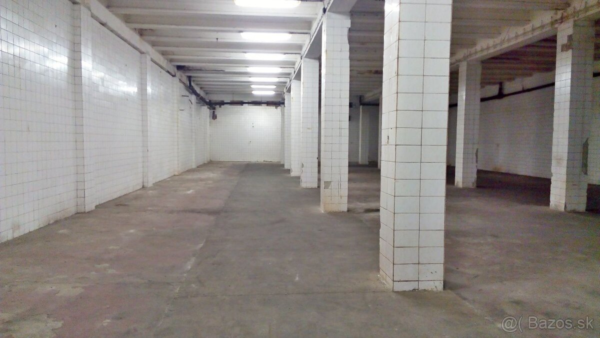 Skladové priestory, Nové Mesto nad Váhom, 480m2 - 2