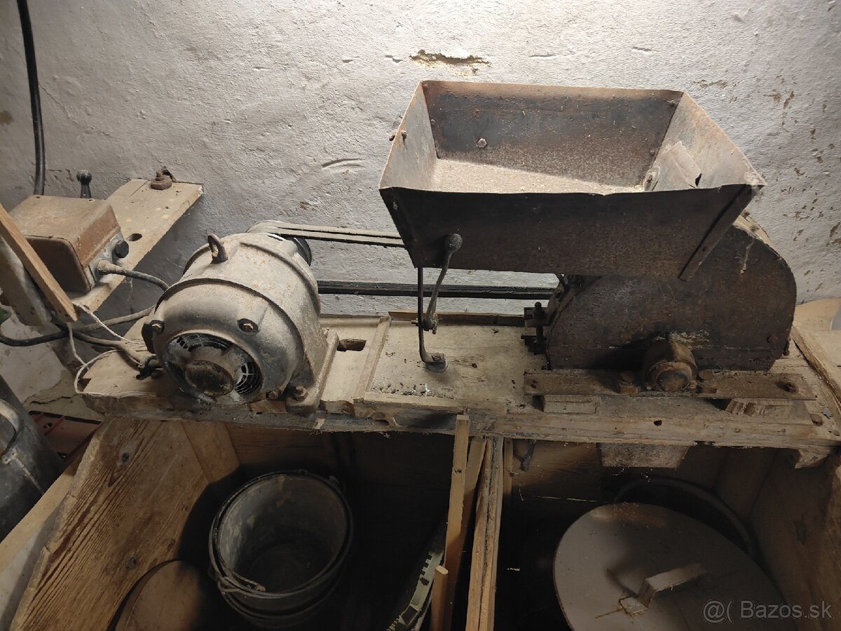 Kladivkovy šrotovnik - 2