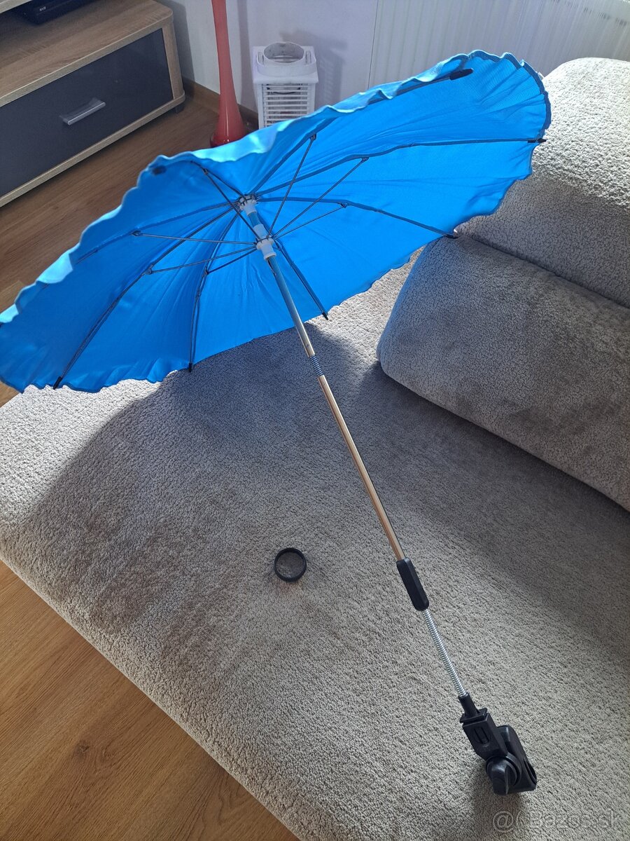 Dazdnik na kočiar - 2