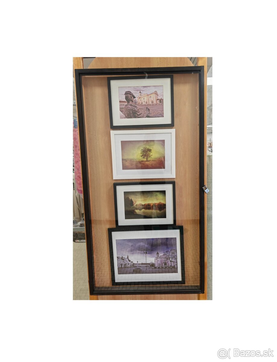 Vitrinu a obrazy TOPOĽČIAN - 2