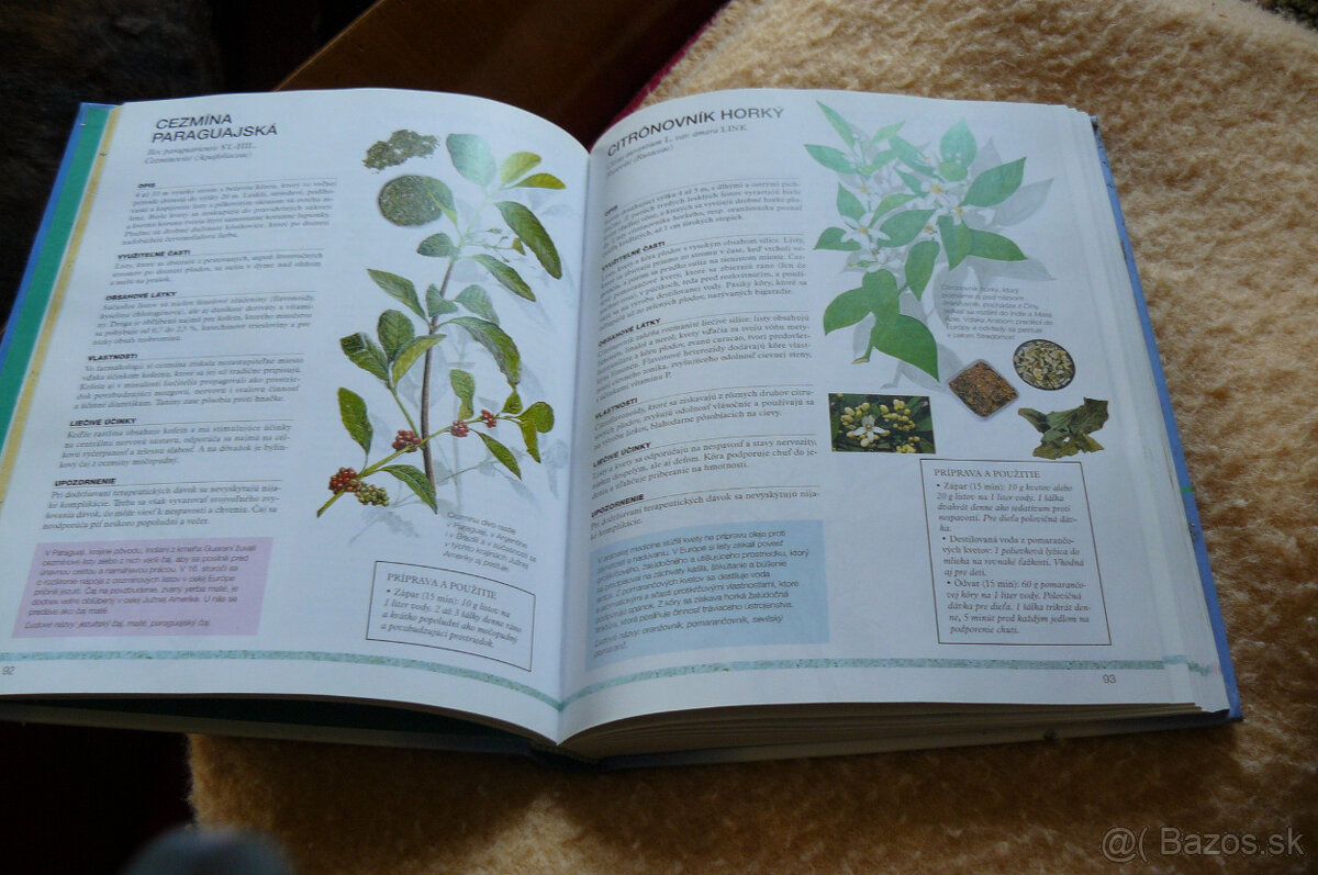 Bylinky pre zdravie - 2