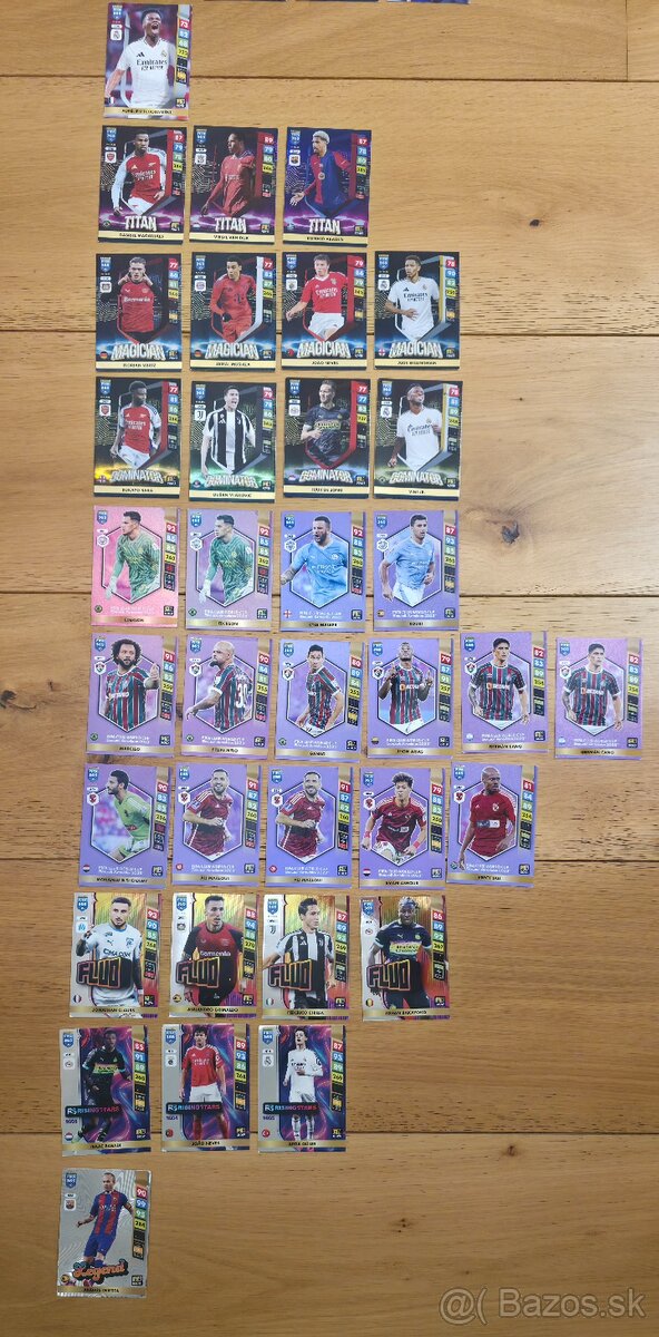 Panini adrenalyn 2025 - 2