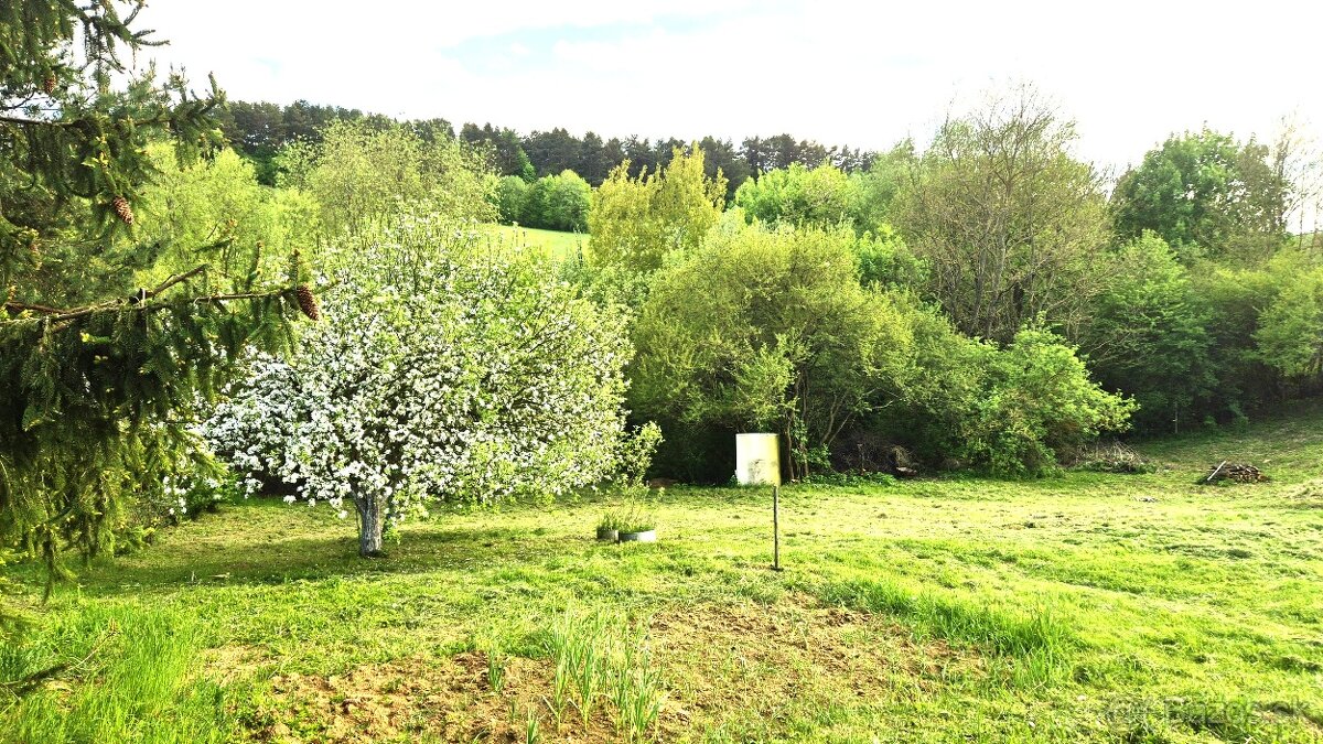 Ponúkame na predaj veľký pozemok na okraji obce. - 2