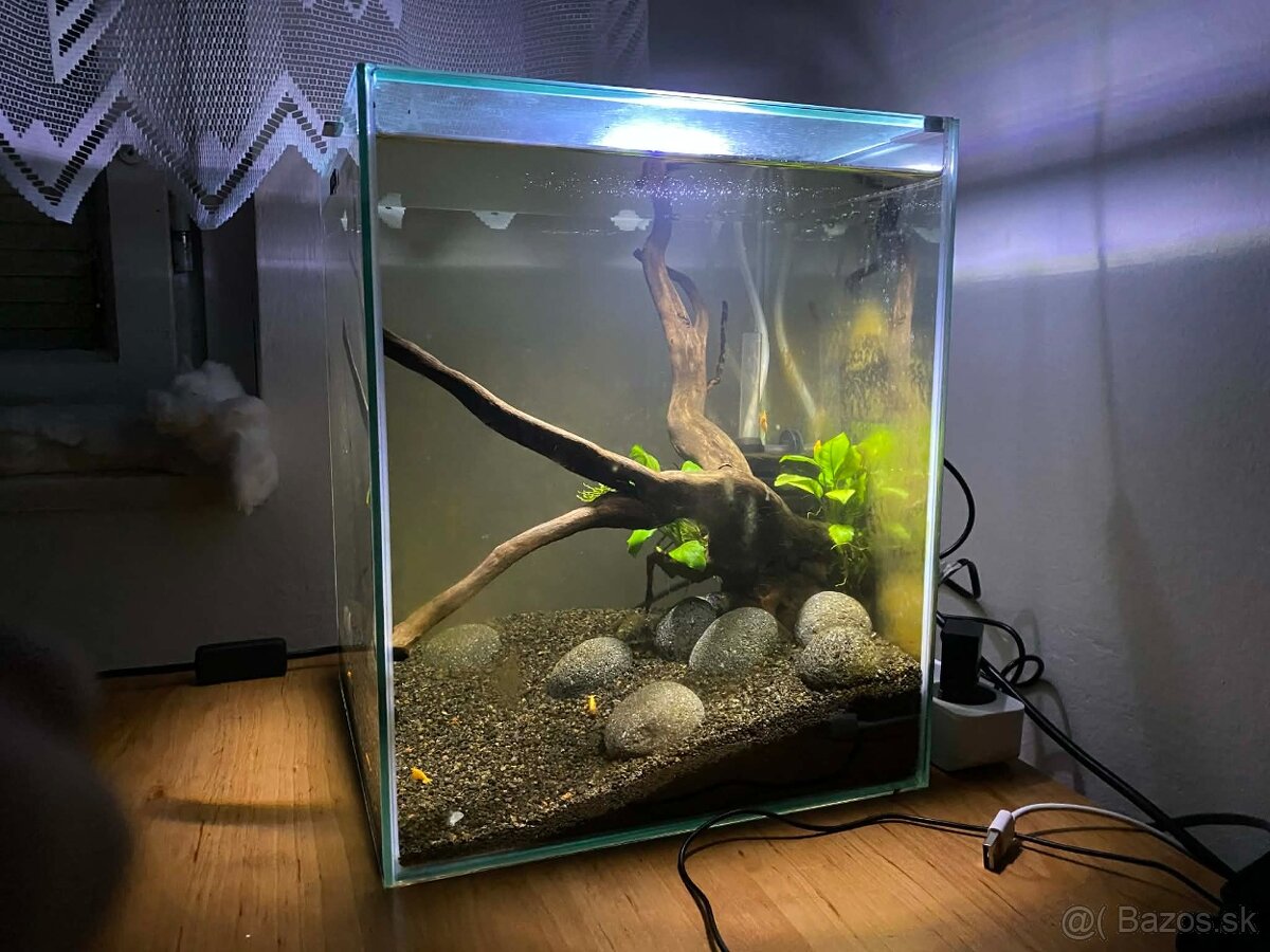 CENA DO KONCA TÝŽDŇA 1 - 2