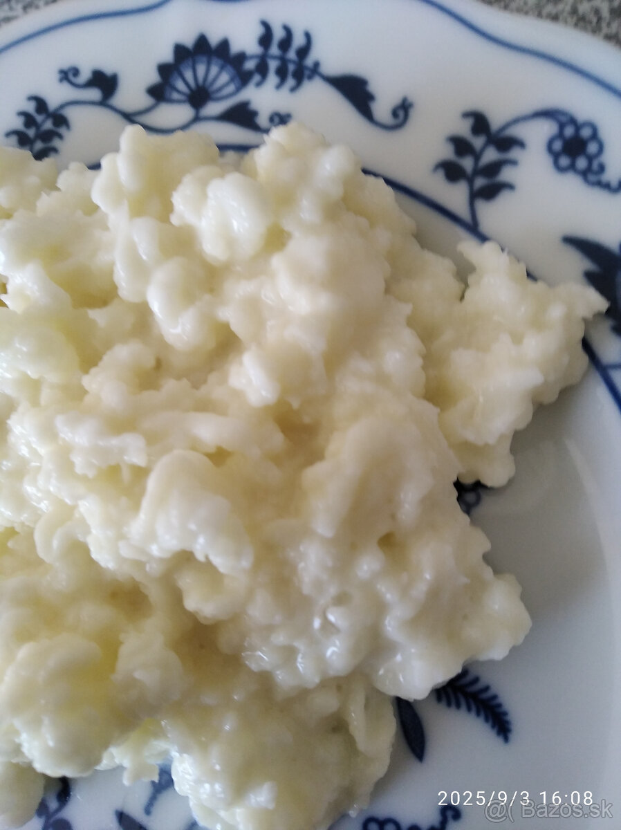 Kaukazské kefírové zrná - 2