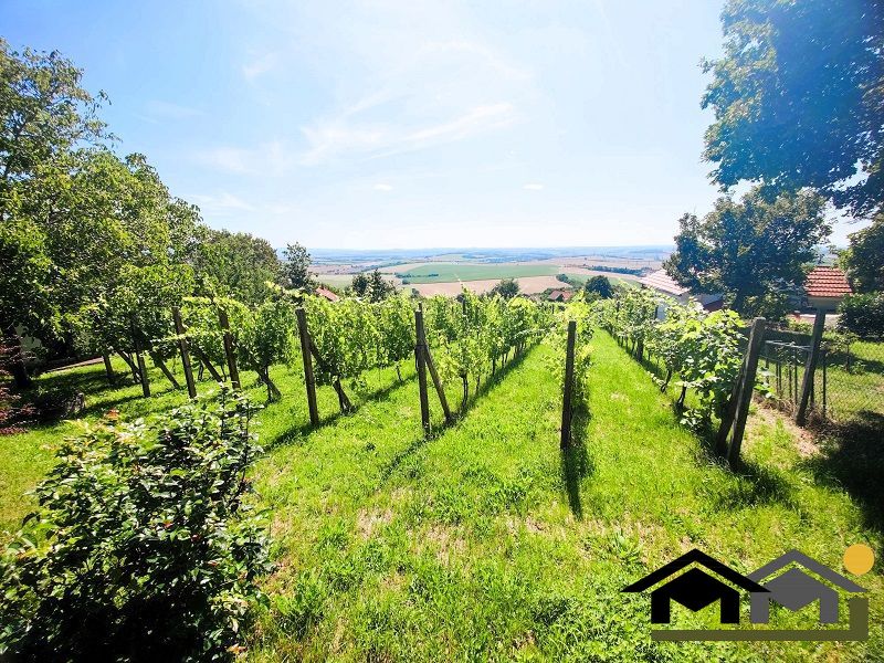 PREDAJ ZÁHRADY, KOLÍŇANY, 617 m² - 2