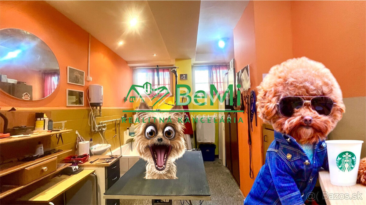 Odstúpenie - salónik - strihanie psíkov Sásová,Banská Bystri - 2