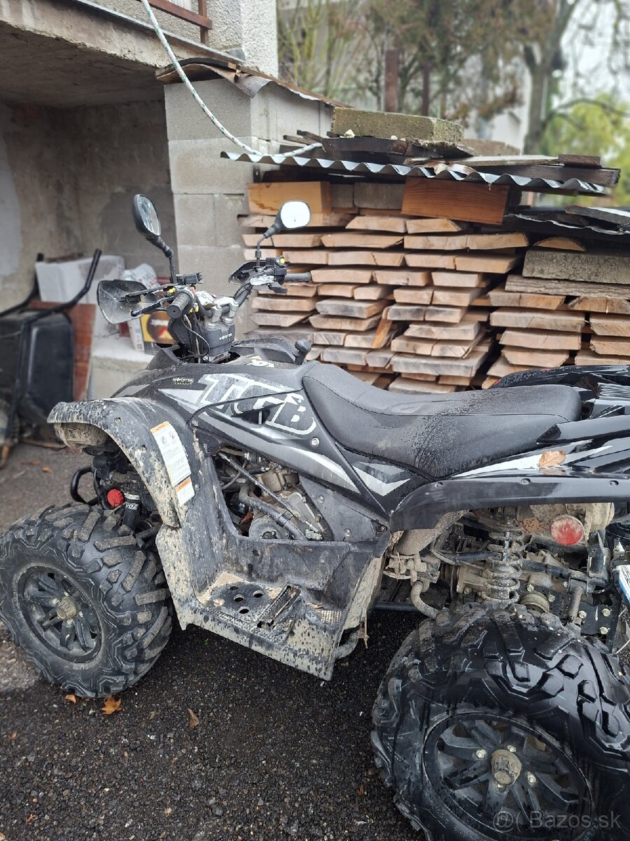 Ṣ̌tvorkolku - Taiwan Golden Bee - 4x4