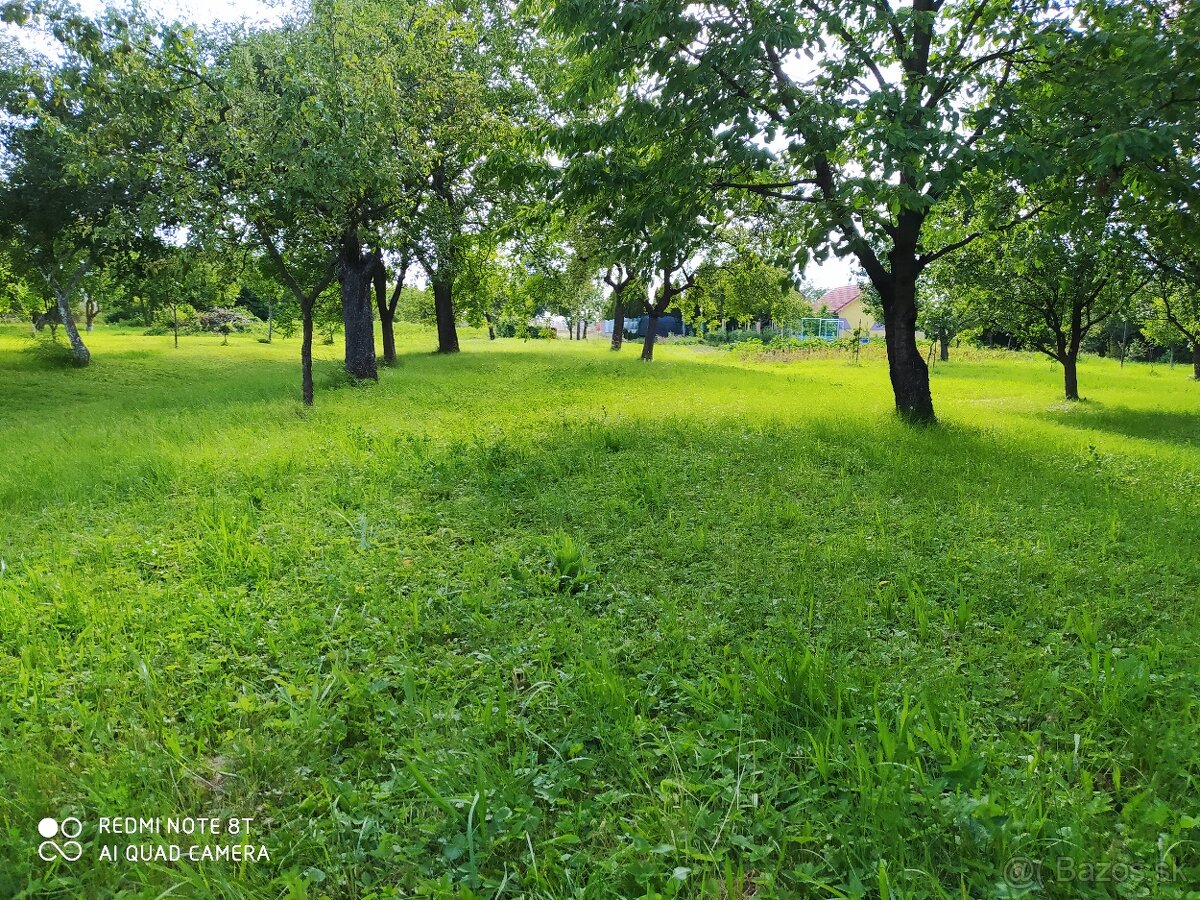 Predaj pozemok Čečehov - 2