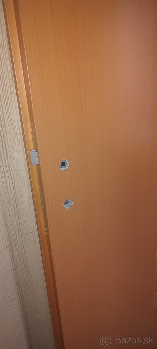 Interierove drevene dvere - 2