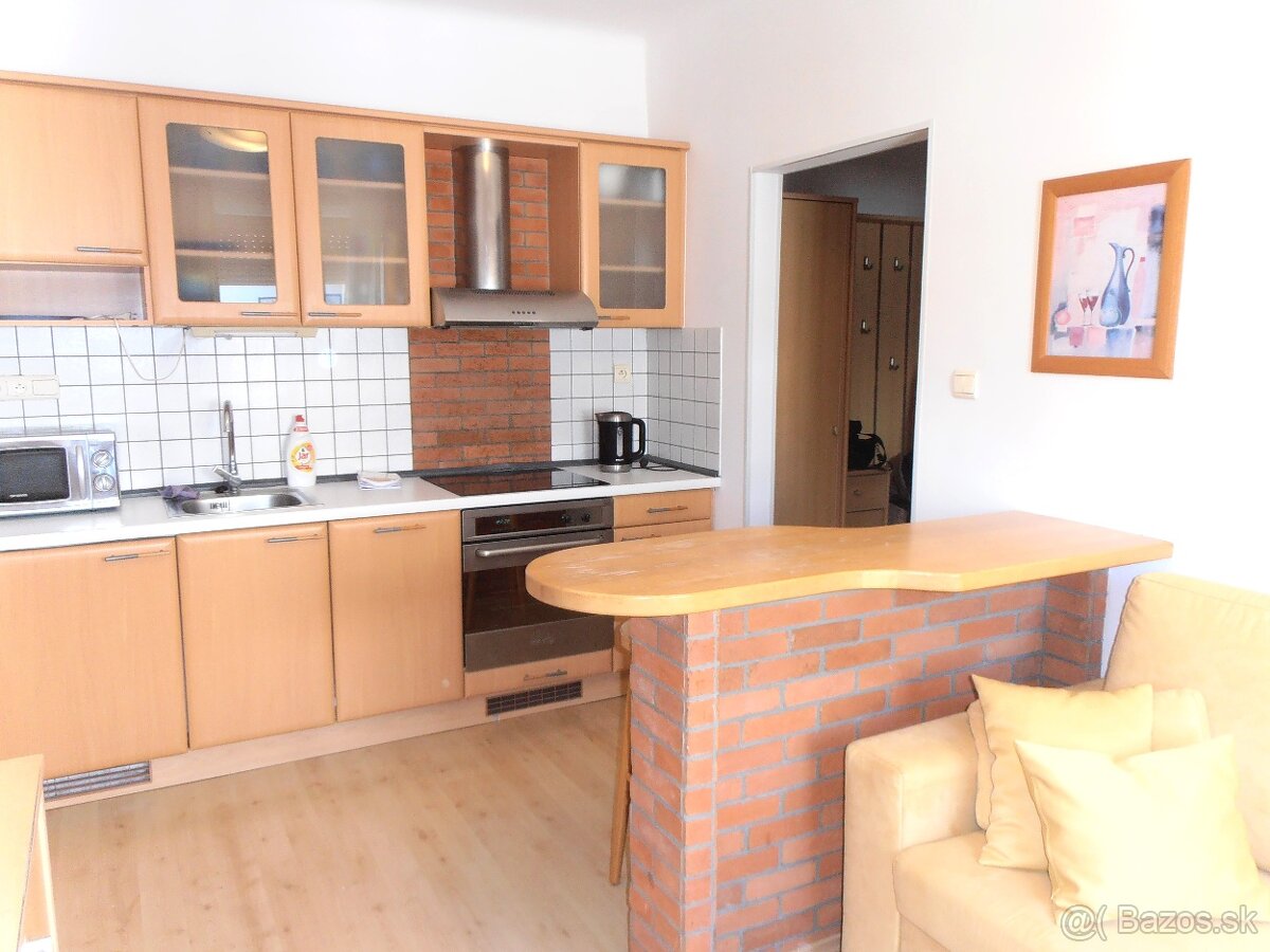 Prenájom 1 izb. byt s kuchyňou, klímou, Staré Mesto, Palisad - 2